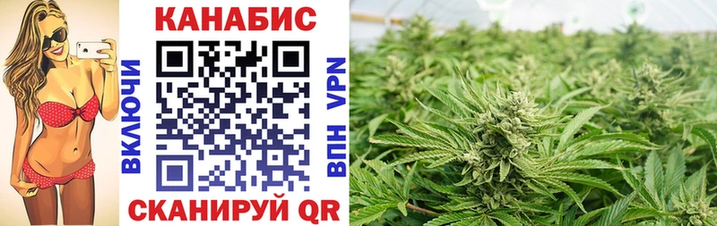 Купить наркоту Тулун Alpha PVP Псилоцибиновые грибы Гашиш