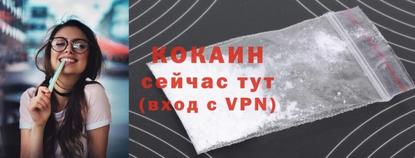 дмт Медногорск