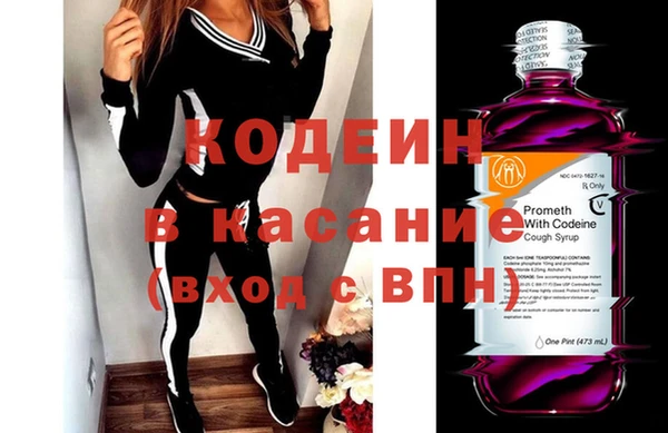 индика Магас