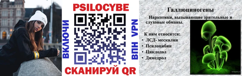 Псилоцибиновые грибы Cubensis  Тулун 