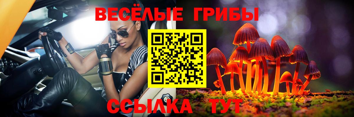 Тулун  Галлюциногенные грибы Psilocybine cubensis  Вход с VPN 